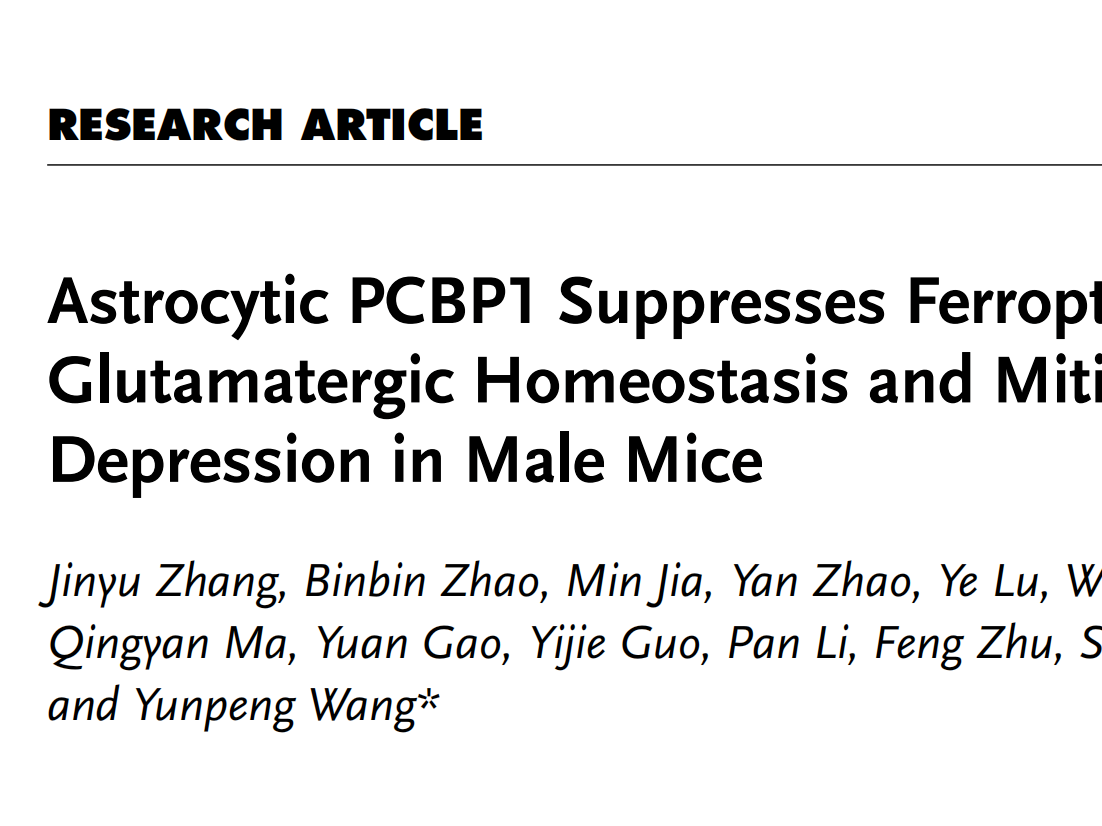 客户文章丨Adv. Sci.丨西安交大王云鹏/马现仓/魏曙光发现星形胶质细胞 PCBP1：调控铁死亡，改善抑郁样行为