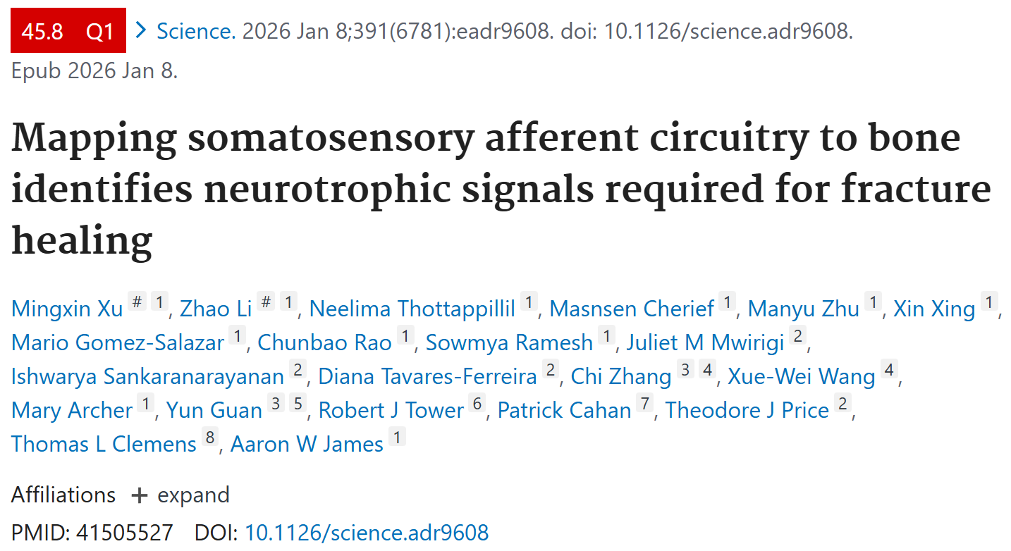 Science突破性发现！揭开了“骨-神经交互”的神秘面纱，新研究解锁骨修复密码