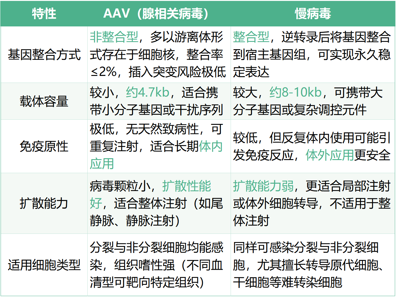 AAV vs 慢病毒：基因递送界两大“王牌”的区别与应用解析