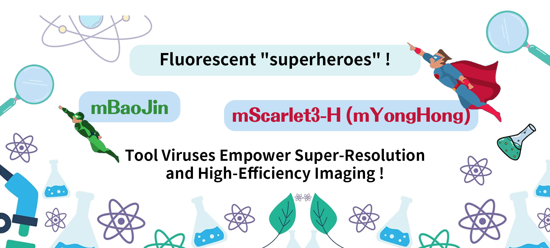 Fluorescent “superheroes”！ mBaoJin + mScarlet3-H (also known as mYongHong) Tool Viruses Empower Super-Resolution and High-Efficiency Imaging