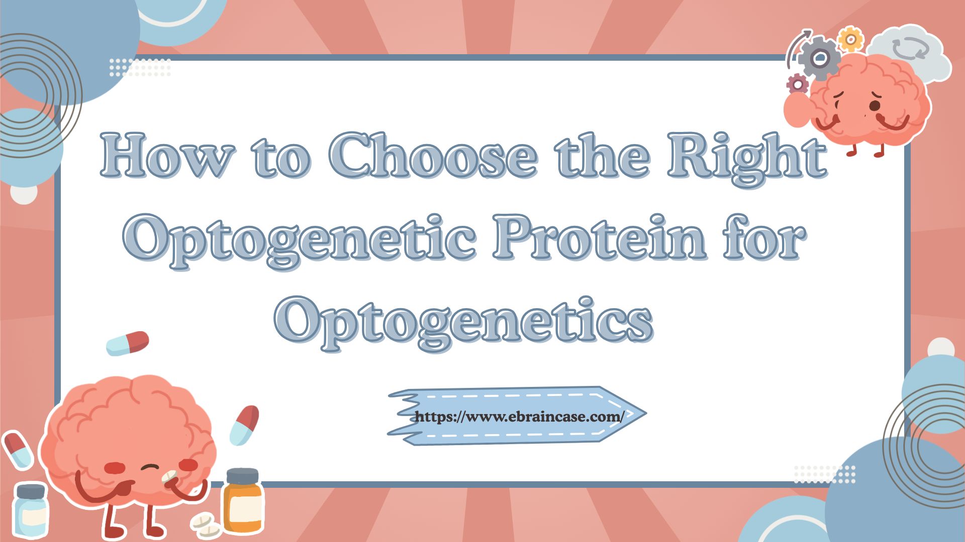 How to Choose the Right Optogenetic Protein for Optogenetics