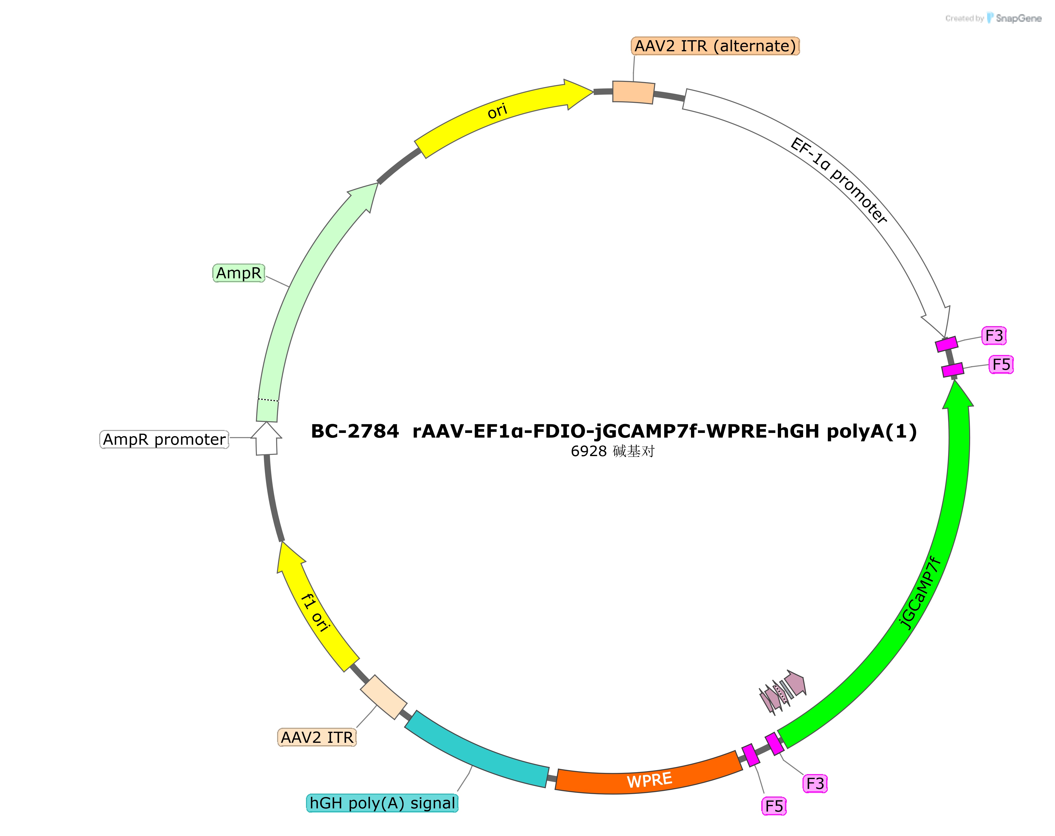 BC-2784 rAAV-EF1α-FDIO-jGCAMP7f
