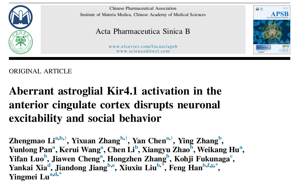客户文章丨ACTA PHARM SIN B︱南医大卢应梅、韩峰、刘秀秀等揭示星形胶质细胞Kir4.1调控除草剂诱导自闭症样行为的分子机制