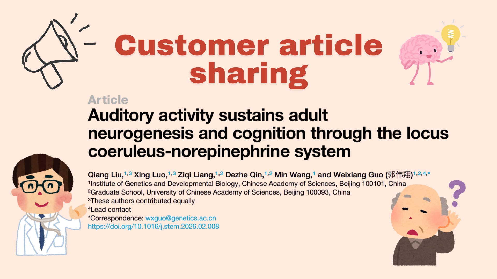 Client Article | Cell Stem Cell | Team of Weixiang Guo at the Chinese Academy of Sciences Uncovers Key Neural Mechanisms Linking Auditory Loss to Cognitive Decline