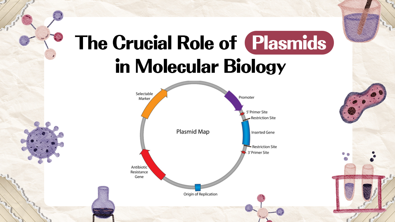 The Crucial Role of Plasmids in Molecular Biology