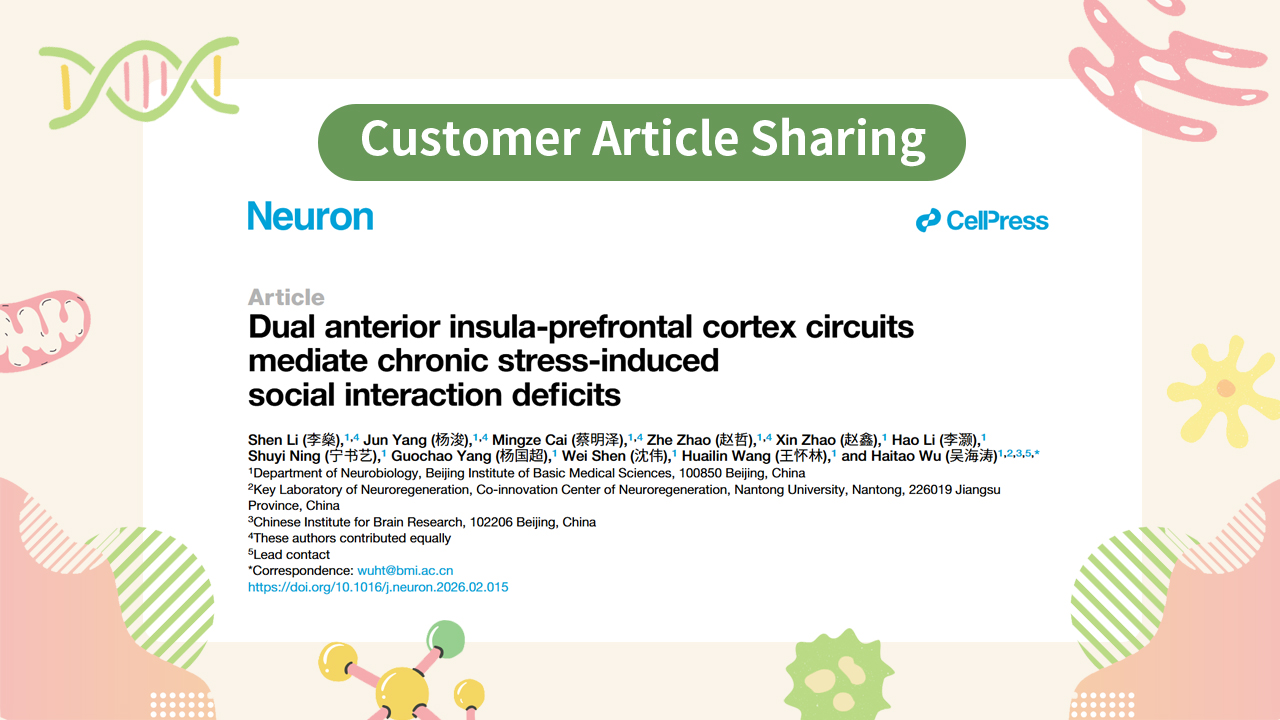 Customer Article | Neuron | Neural Code of Social Avoidance: Hai-Tao Wu’s Team Reveals a New Mechanism of Dual Anterior Insula–Prefrontal Cortex Circuit Dialogue