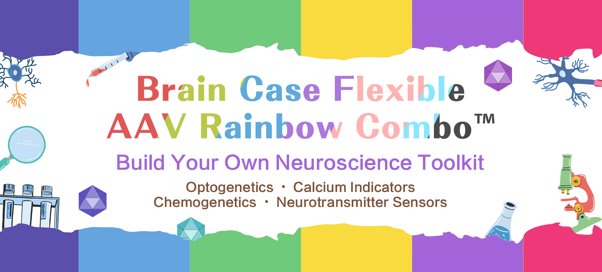 neuroscience viral vectors, optogenetics, chemogenetics, neurotransmitter sensors, GCaMP, neural circuit research, AAV vectors