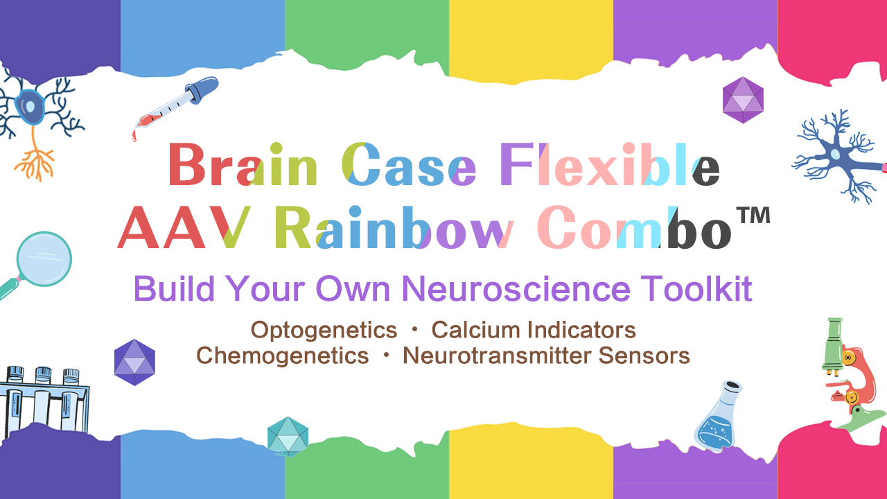 Brain Case Rainbow Combo Program | Flexible Multi-Virus Solutions