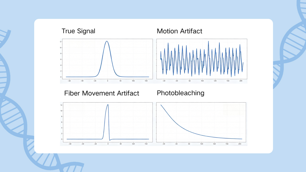 Fiber Photometry Signal Analysis: From Artifact Identification to Data Processing