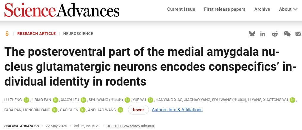 Sci. Adv. | How Does the Brain Recognize Familiar Individuals? Hao Wang / Gao Chen / Hongbin Yang / Libiao Pan Reveal VGluT2 Neurons Precisely Encode Conspecific Identity, and Exclusive Memories Can Be Reactivated