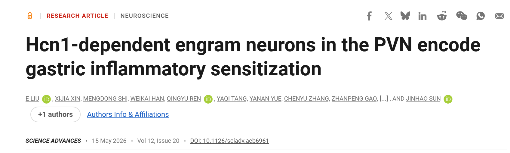 Customer Article | Sci. Adv. | Jinhao Sun’s Team at Shandong University Unveils: How Does the Brain “Remember” Gastric Inflammation? Hcn1-Dependent PVN Engram Neurons Are the Key!