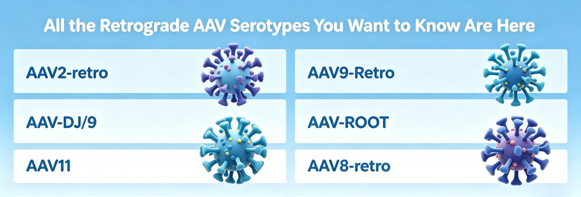 All the Retrograde AAV Serotypes  You Want to Know Are Here
