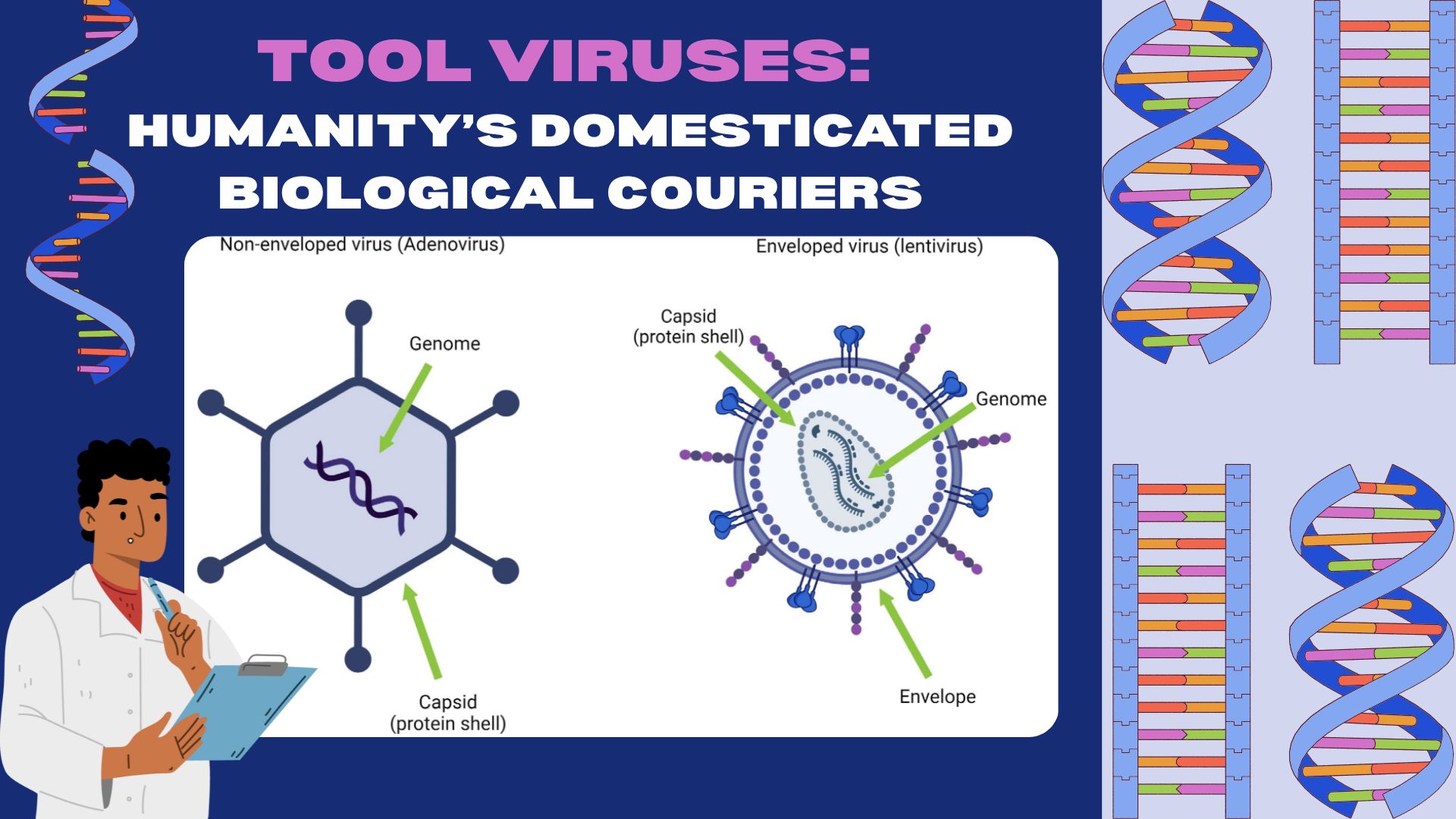 Tool viruses: humanity’s domesticated biological couriers