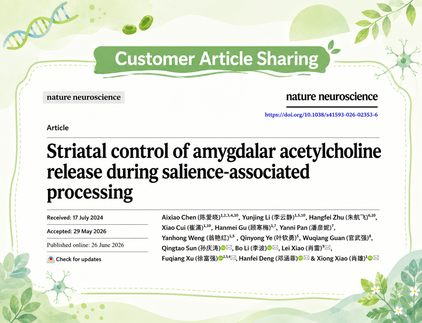 Customer Article | Nat. Neurosci. | Xiao Xiong, Xu Fuqiang, Deng Hanfei, and Xiao Lei Reveal a Bidirectional NAc D1/D2 Circuit Regulating Basal Forebrain Cholinergic Signaling for Salience Encoding