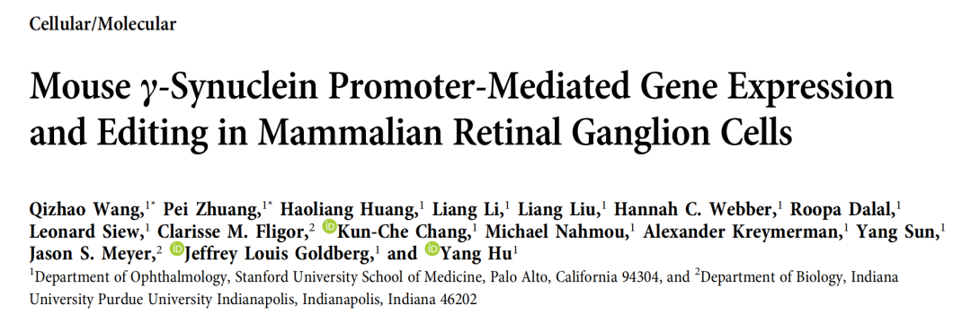 mSncg Promoter for RGC-Specific AAV Expression: From Gene Editing to Optic Nerve Regeneration