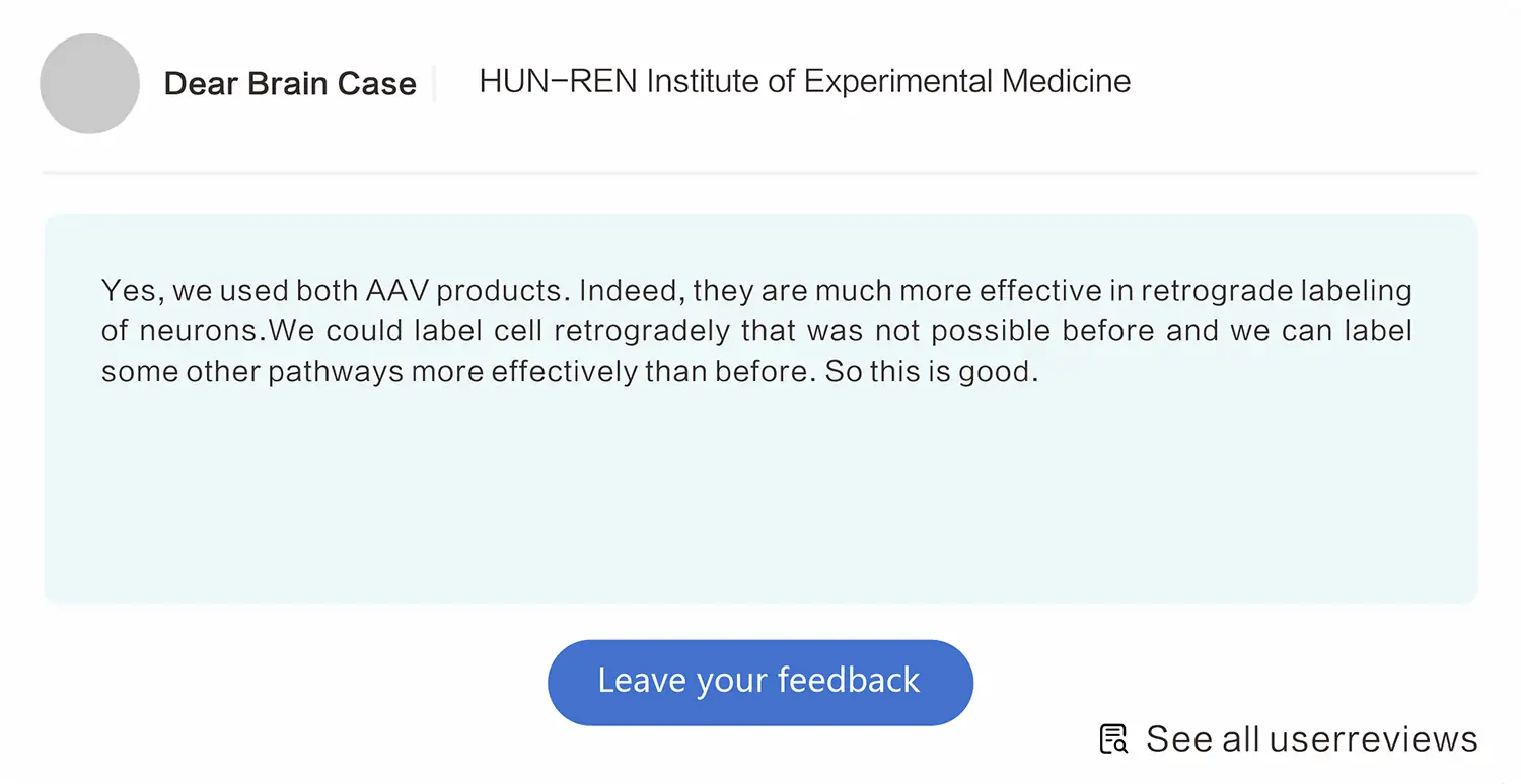 customer reviews rounded-4