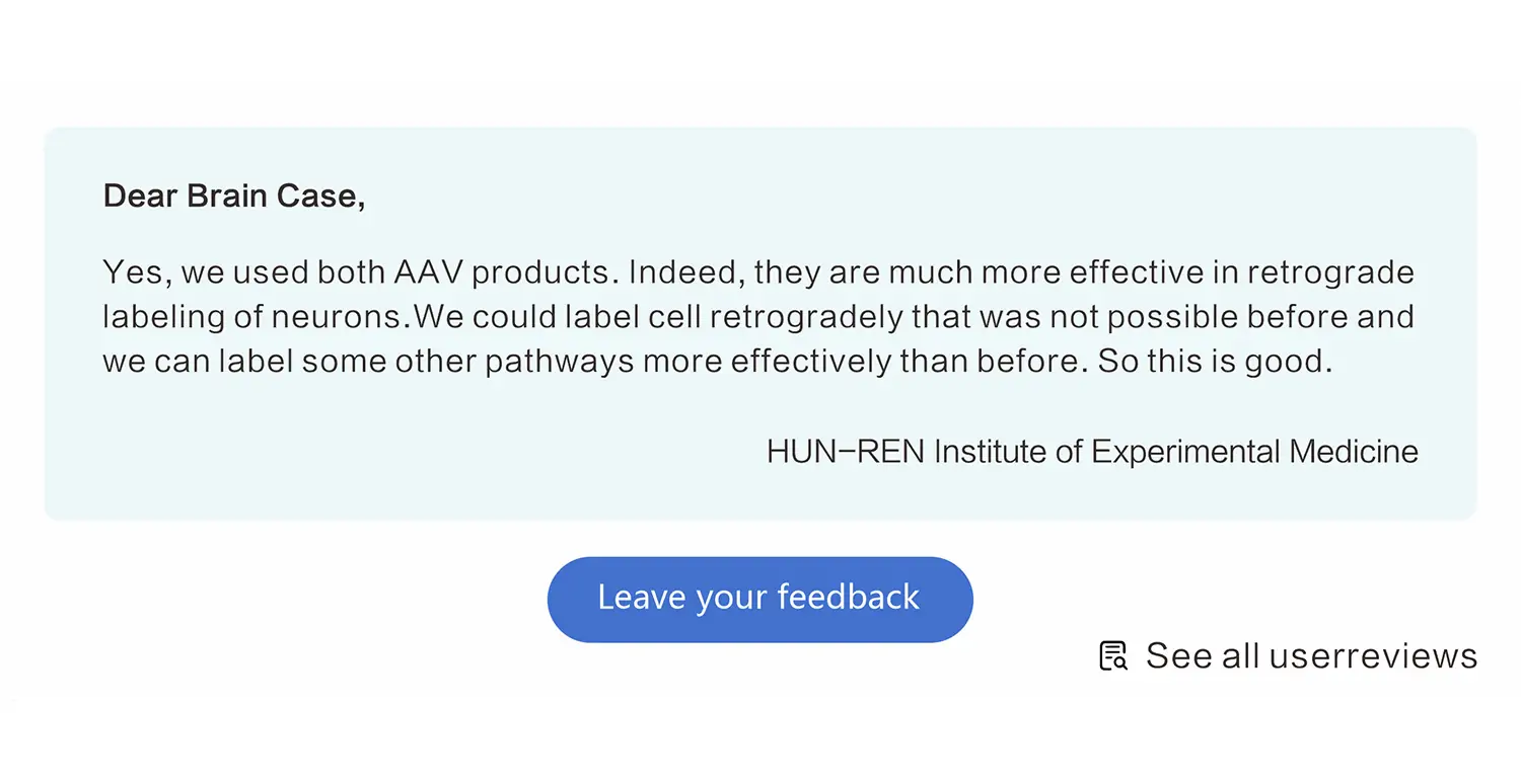 customer reviews rounded-4