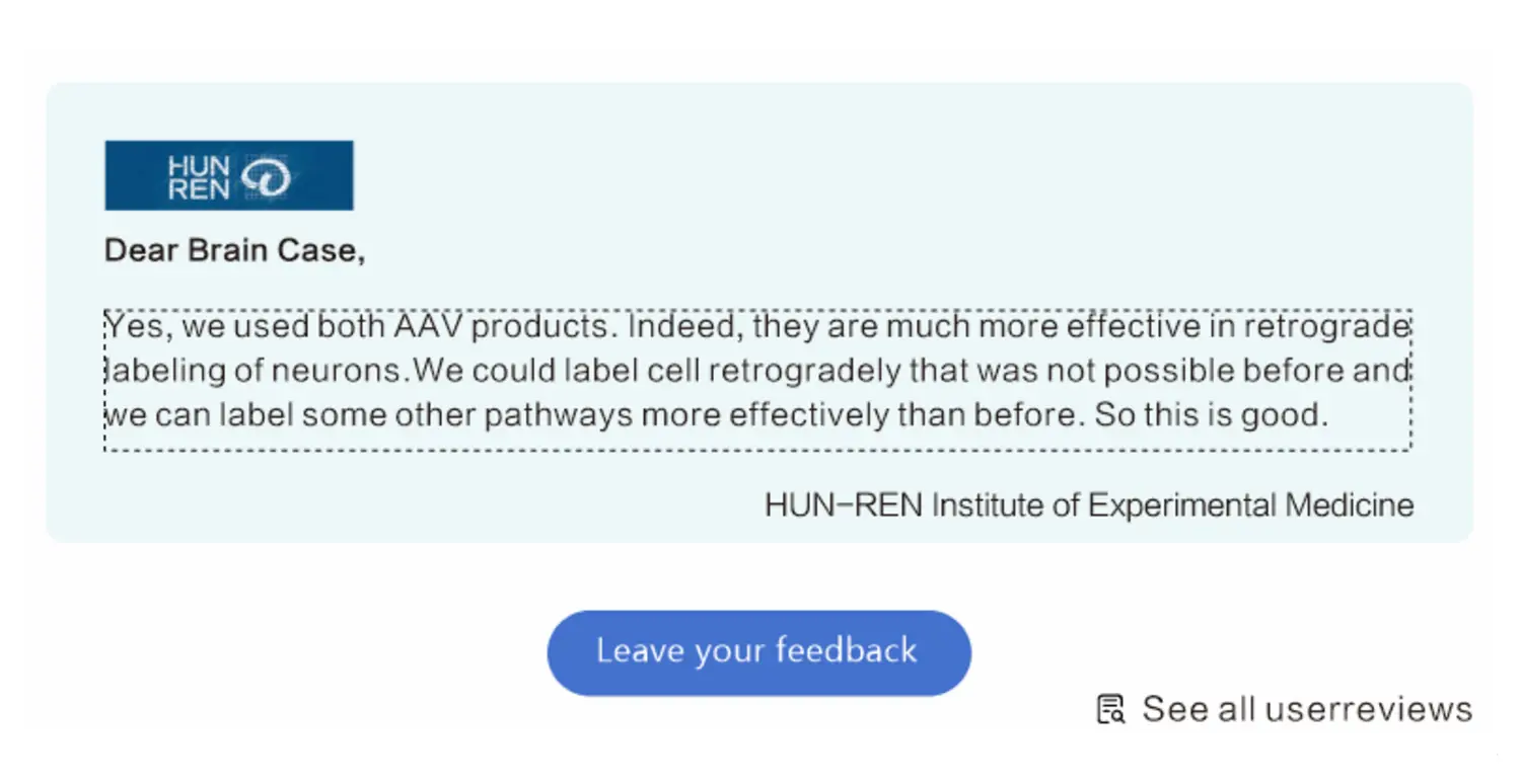 customer reviews rounded-4