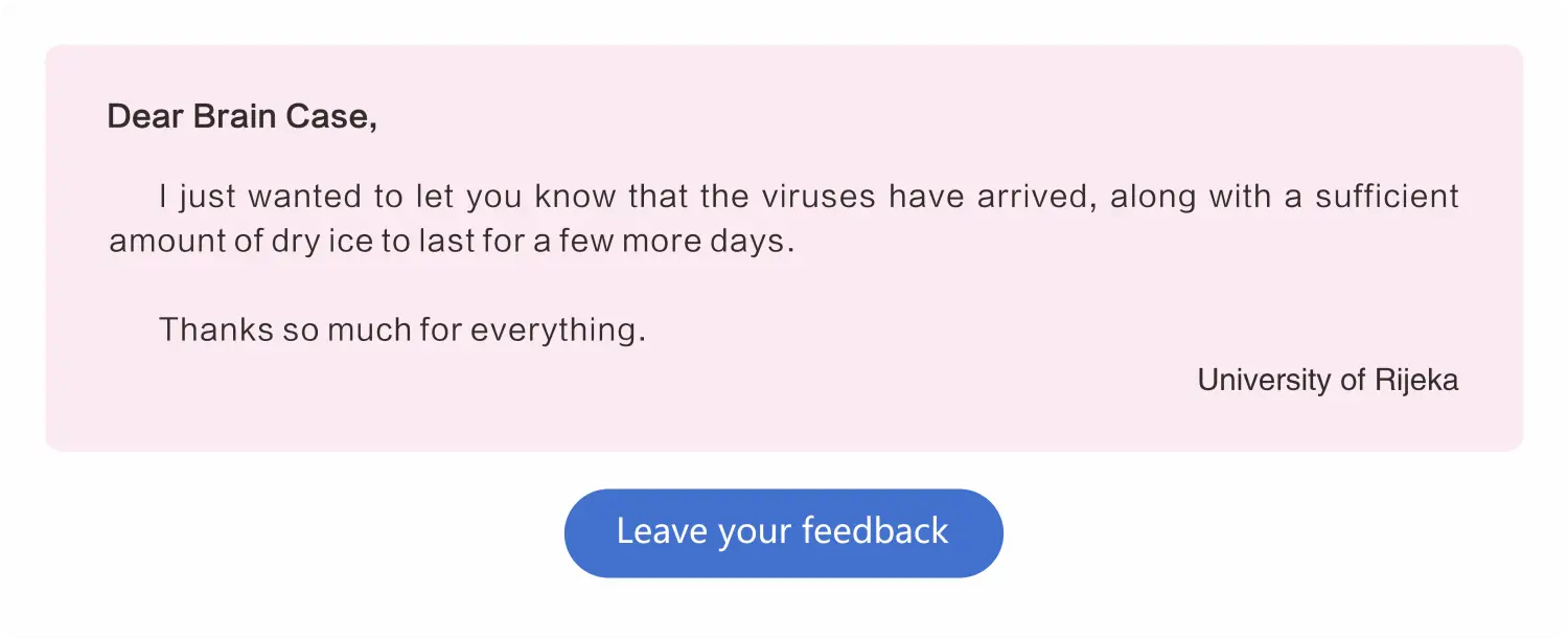 customer reviews rounded-4