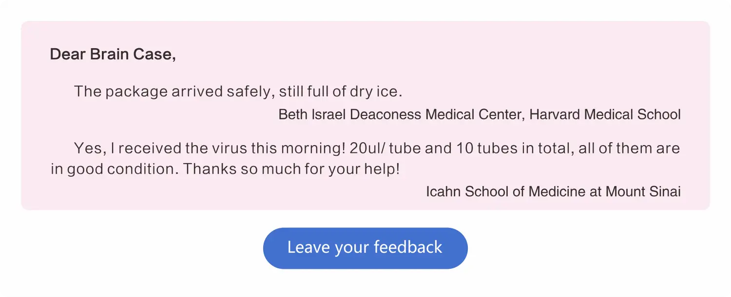 customer reviews rounded-4