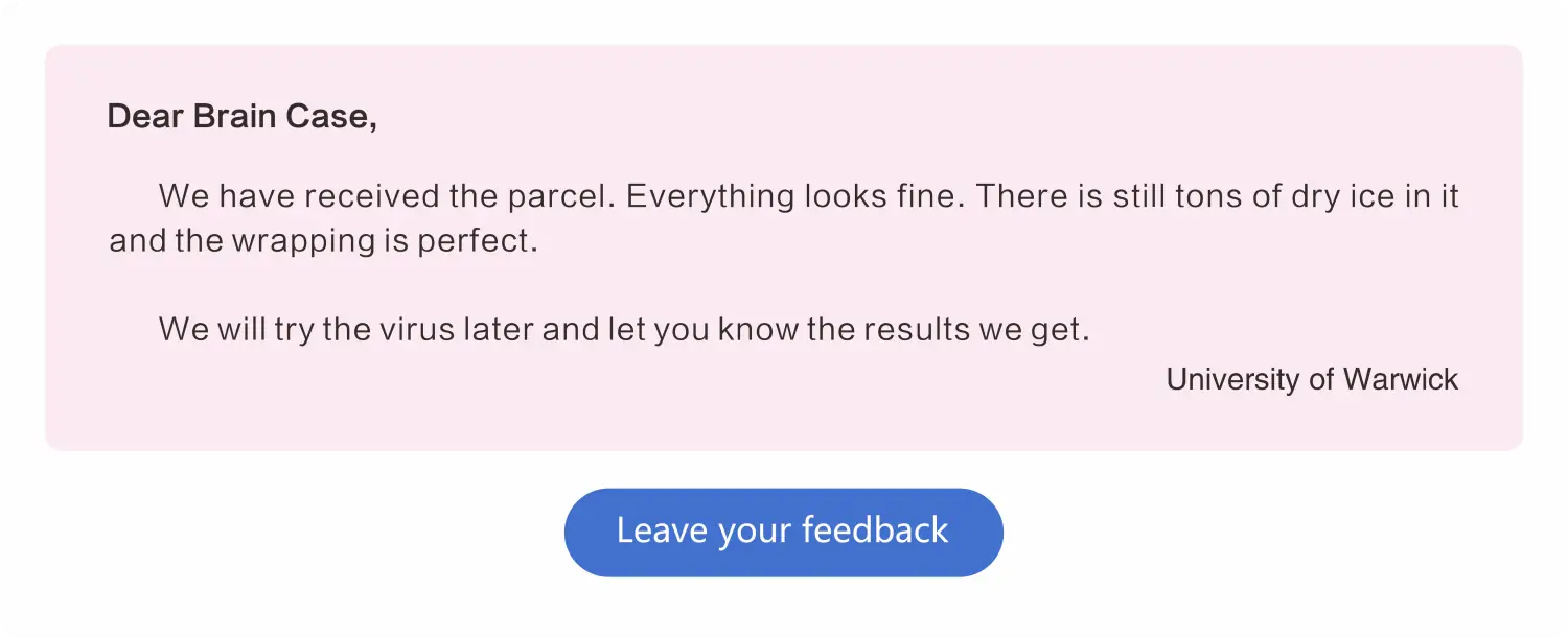 customer reviews rounded-4